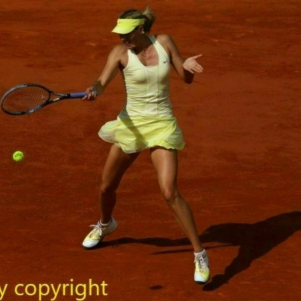 Nwt Nike Stunning Maria Sharapova Tennis Dress w/ Bra mesh skirt S Small - Picture 5 of 16